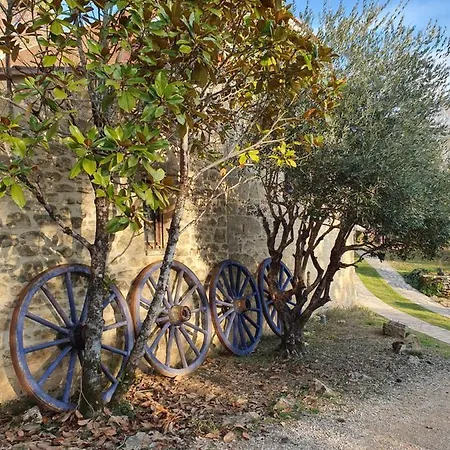 Sejournez Au Coeur Du Perigord - La P'Tite Maison, Gite De Charme A Carlux, Pres De Sarlat Exterior photo